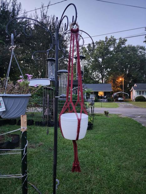 multi plant hanger Standard Plant Hanger (Multiple Lengths) – Celestial Gardens Boutique