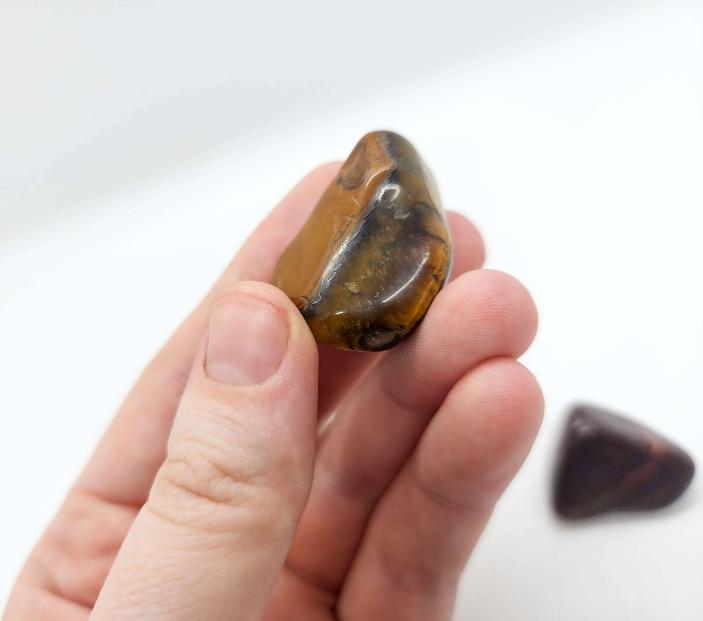 Tigers Eye Tumbles