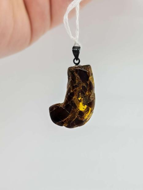 Multi Color Freeform Dominican Amber Pendant C